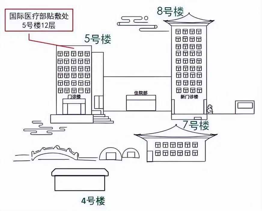 Hospital-published diagram locating Building 5 floor 12 for a 2022 international clinic program; confirm the current entrance